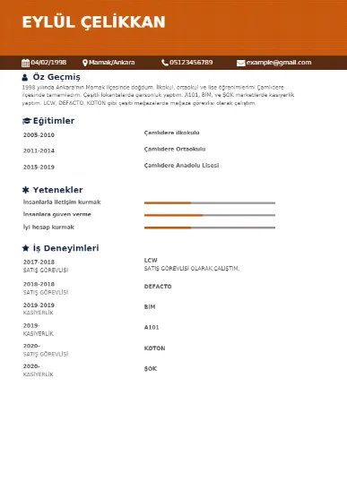 Öğrenci Örnek cv indir